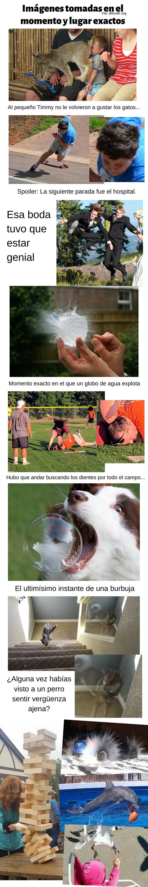 Meme_otros - Imágenes tomadas en el momento y lugar exactos