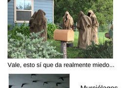 Enlace a Gente que, de forma increíble, decoró sus casas para Halloween