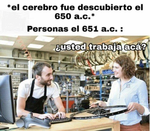 Otros - La evolución ha sido un fracaso