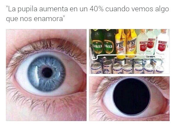 Meme_otros - Mi amor platónico