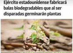 Enlace a Quedarán unas escuelas preciosas