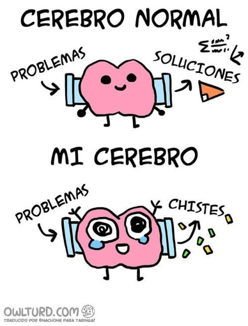 Meme_otros - Así funciona mi cerebro