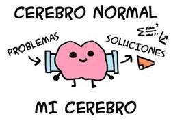 Enlace a Así funciona mi cerebro