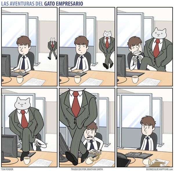 Meme_otros - Por muy empresario que sea, no deja de ser un gato