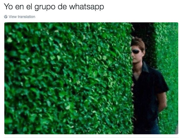 Meme_otros - Solo soy un mero espectador