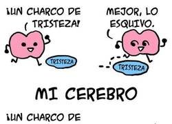 Enlace a A mi cerebro le encanta bañarse en tristeza