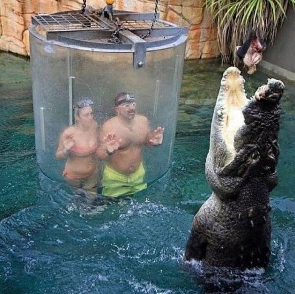 Meme_otros - ¿Quién ríe ahora, eh?