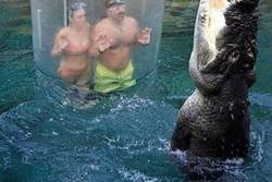 Enlace a ¿Quién ríe ahora, eh?