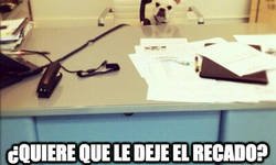 Enlace a Mientras tanto, en una oficina perruna...