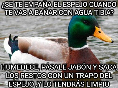 Pato_consejero - Saca de apuros para ir algún lado