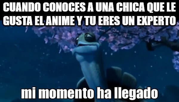 otaku,tortuga