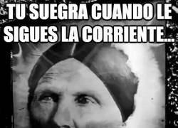 Enlace a Mejor llevarle la corriente a la suegra...