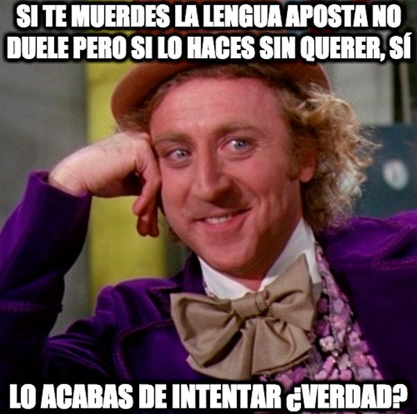 Wonka - ¿Qué se siente?