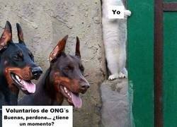 Enlace a Que no me vean, que no me vean...por favor