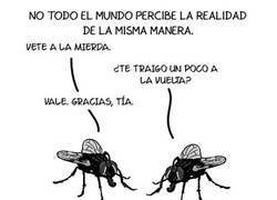 Enlace a Deberíamos aprender de las moscas