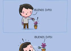 Enlace a La venganza floral