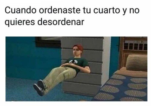 Meme_otros - ¡No toques nada!