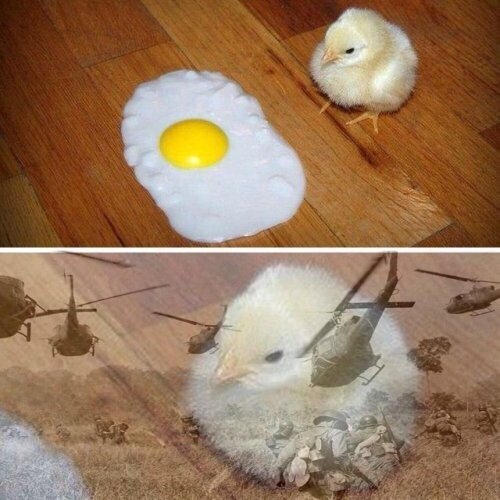 Meme_otros - Recuerdos de Vietnam