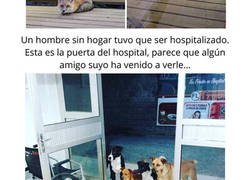 Enlace a Hechos que nos hacen pensar que el mundo es un lugar maravilloso