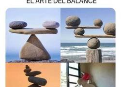 Enlace a En el equilibrio está la belleza