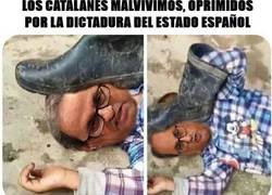 Enlace a Echándole cuento