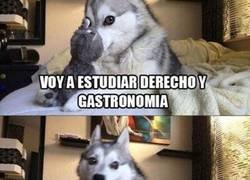 Enlace a ¡A ver qué ponen de comer esos picapleitos!