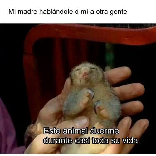 Otros - Me tiene en un pedestal
