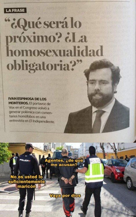 Otros - La lógica de VOX