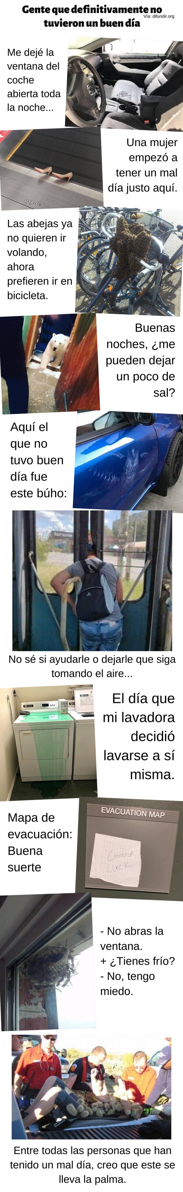 Meme_otros - Gente que definitivamente no tuvo un buen día