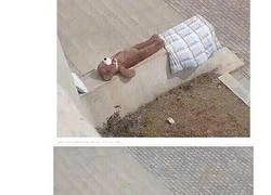 Enlace a Mi vecino solo quería arropar al pobre oso