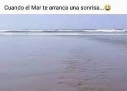 Enlace a Te la arranca literalmente