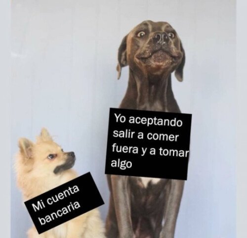 Meme_otros - No le debo caer muy bien a mi cuenta bancaria