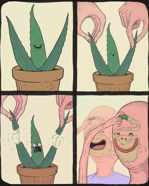 Meme_otros - El aloe vera nos tiene que ver como a unos perturbados