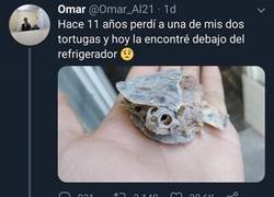 Enlace a Un método que sirve para todo