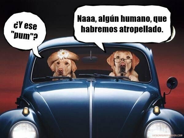 Meme_otros - En un Universo alternativo