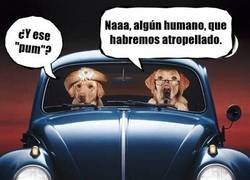 Enlace a En un Universo alternativo