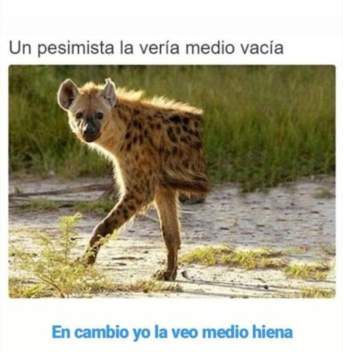 Meme_otros - Hay que ser optimista