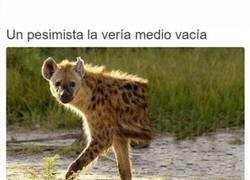 Enlace a Hay que ser optimista