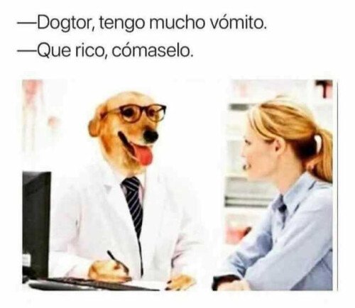 Otros - Los consejos del Dogtor