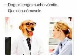 Enlace a Los consejos del Dogtor