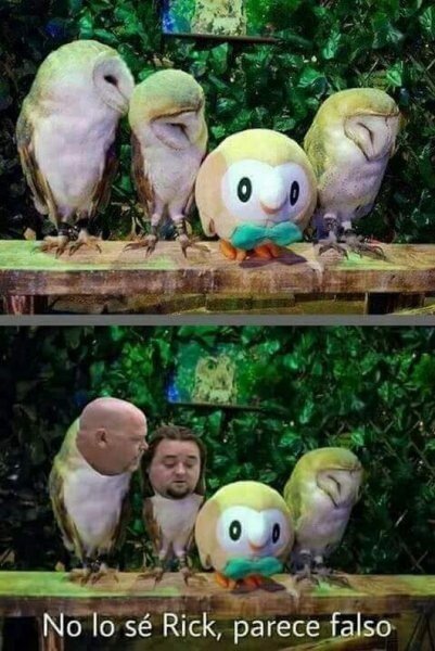 Meme_otros - Ese búho no es de fiar