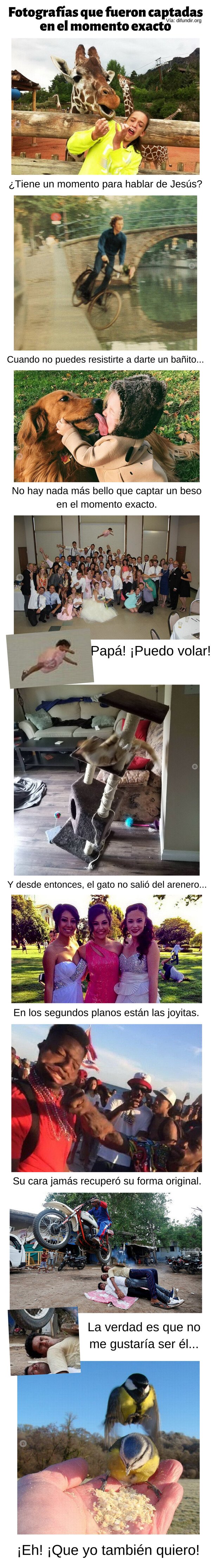 Meme_otros - Fotografías que fueron captadas en el momento exacto