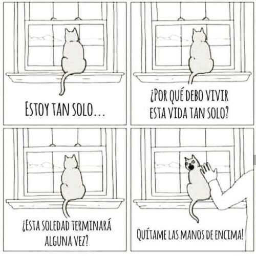 Meme_otros - Ni quieren ni se dejan querer