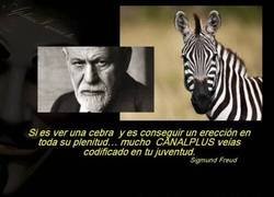 Enlace a Eran otros tiempos...