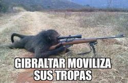 Enlace a Viendo el auge de la ultraderecha...