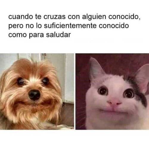 Meme_otros - Esa media sonrisa incómoda