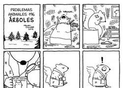 Enlace a Problemas actuales de vivir en un árbol