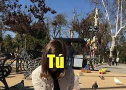 Enlace a Cuando tienes varias cuentas y tienes que mantenerlas todas a diario