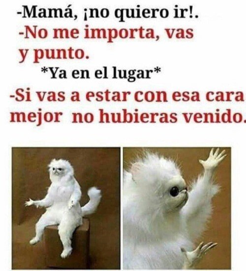 Meme_otros - ¿Y para qué me obligas?