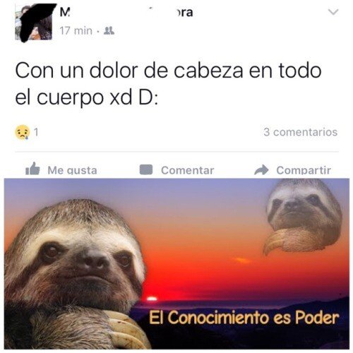 Otros - ¿Dónde dices que te duele?